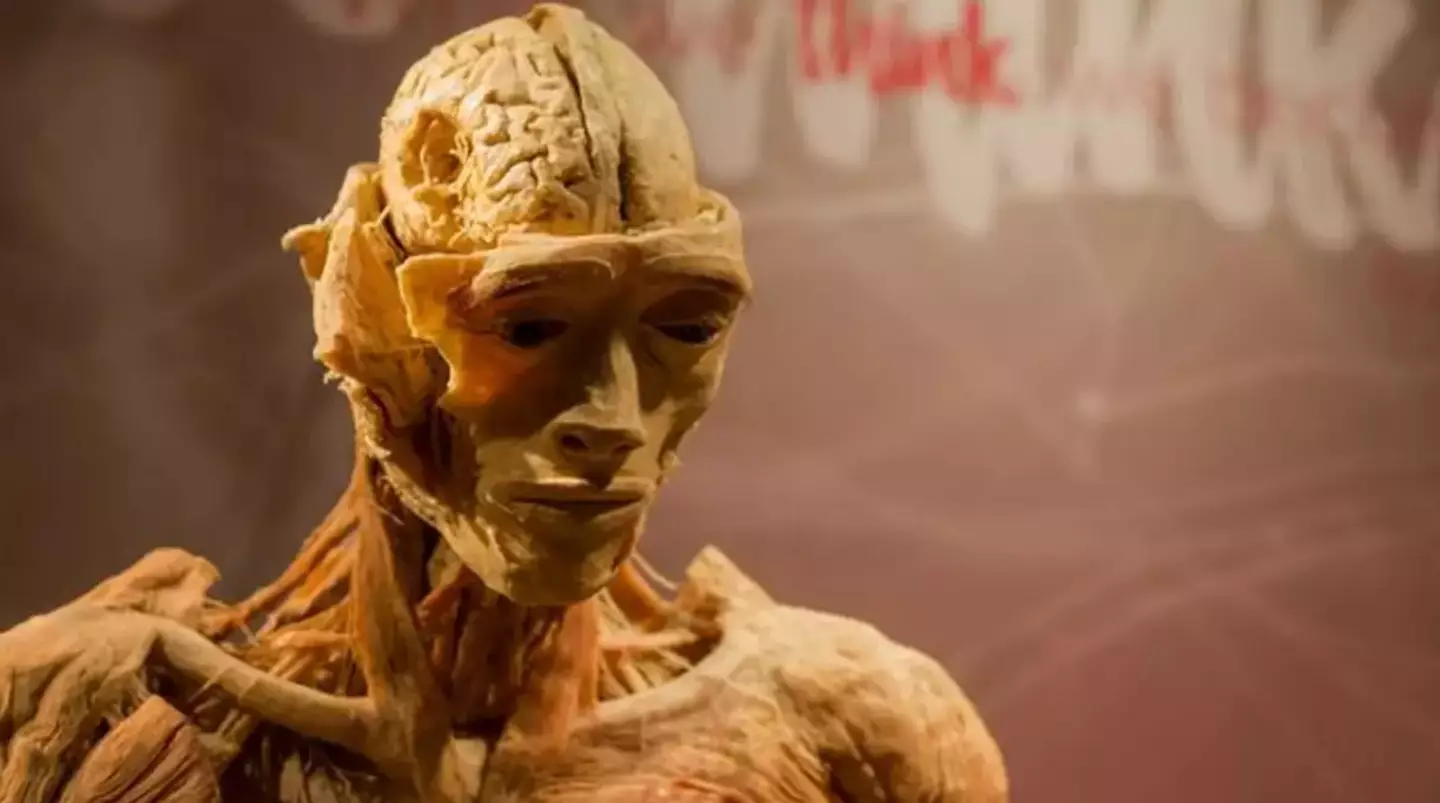 Kim is adamant this is her son (Change.org)