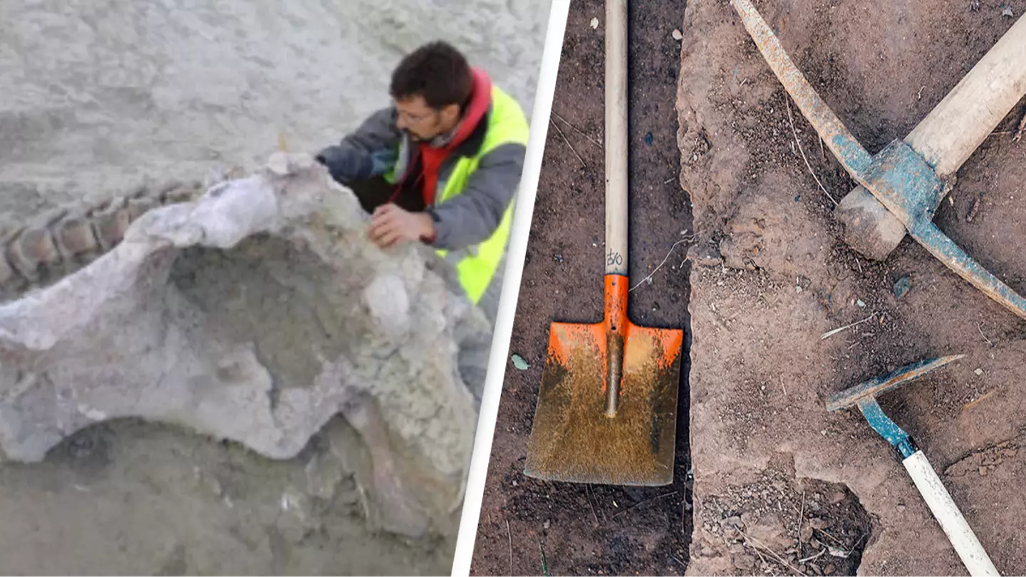 New species of giant dinosaur that lived 75,000,000 years ago has been discovered