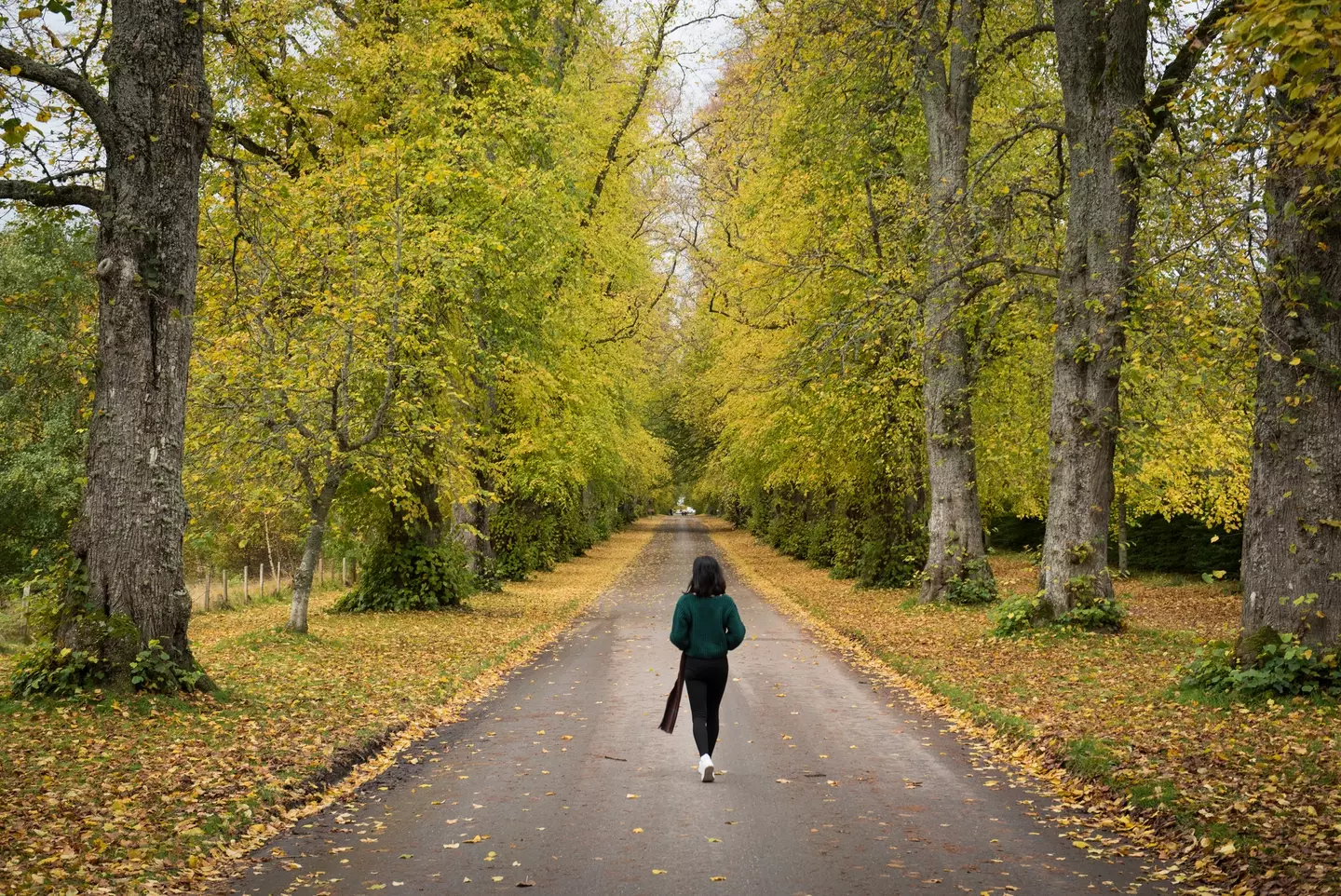Walking could have a big impact on heart health (Getty Stock Photo)