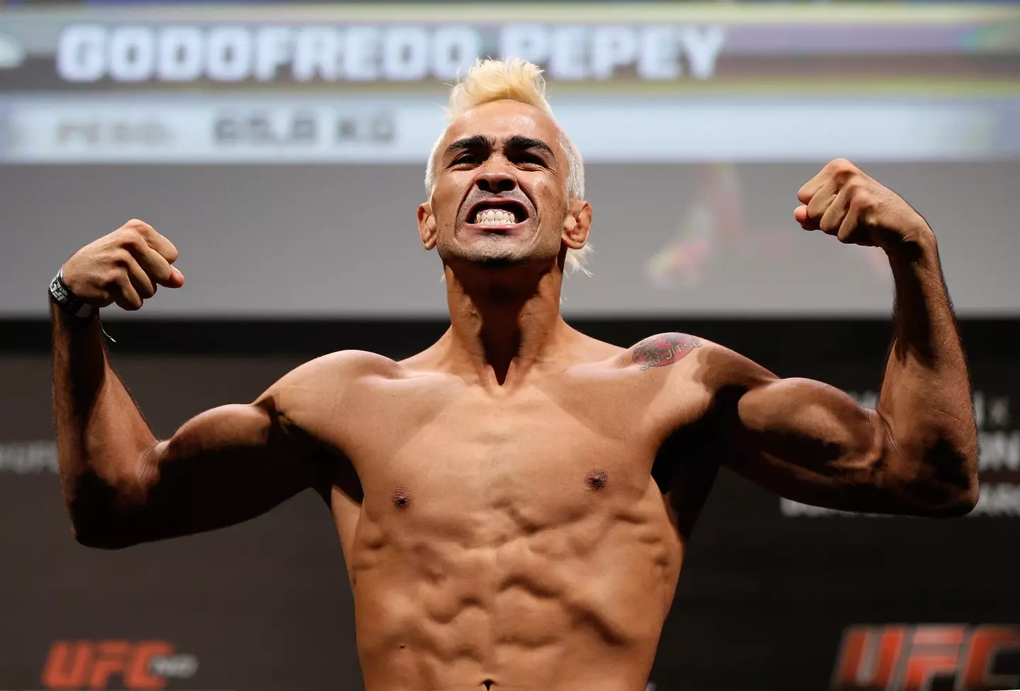 The former UFC fighter was in prison (Josh Hedges/Zuffa LLC/Zuffa LLC via Getty Images)