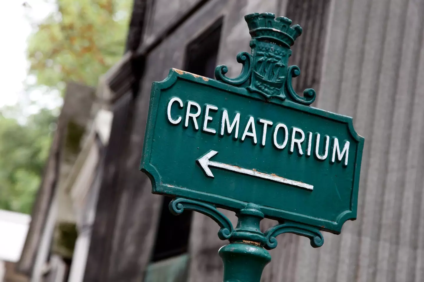 Dubbed as more of an eco-friendly alternative to cremation, aquamation is also known as 'biocremation'.