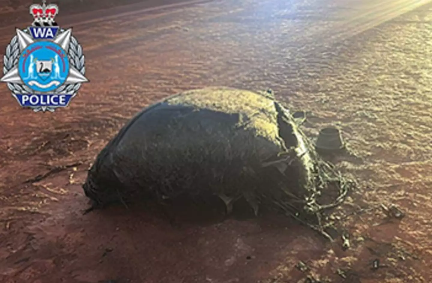 The object was found in a remote area of Australia (WA Police)