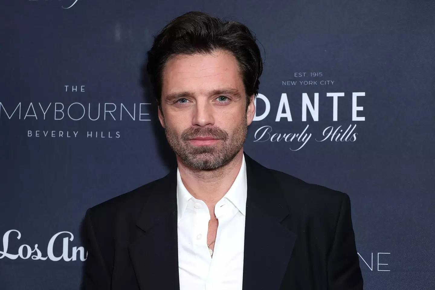Sebastian Stan recently had to cancel an 'Actors on Actors' appearance (JC Olivera/Variety via Getty Images)