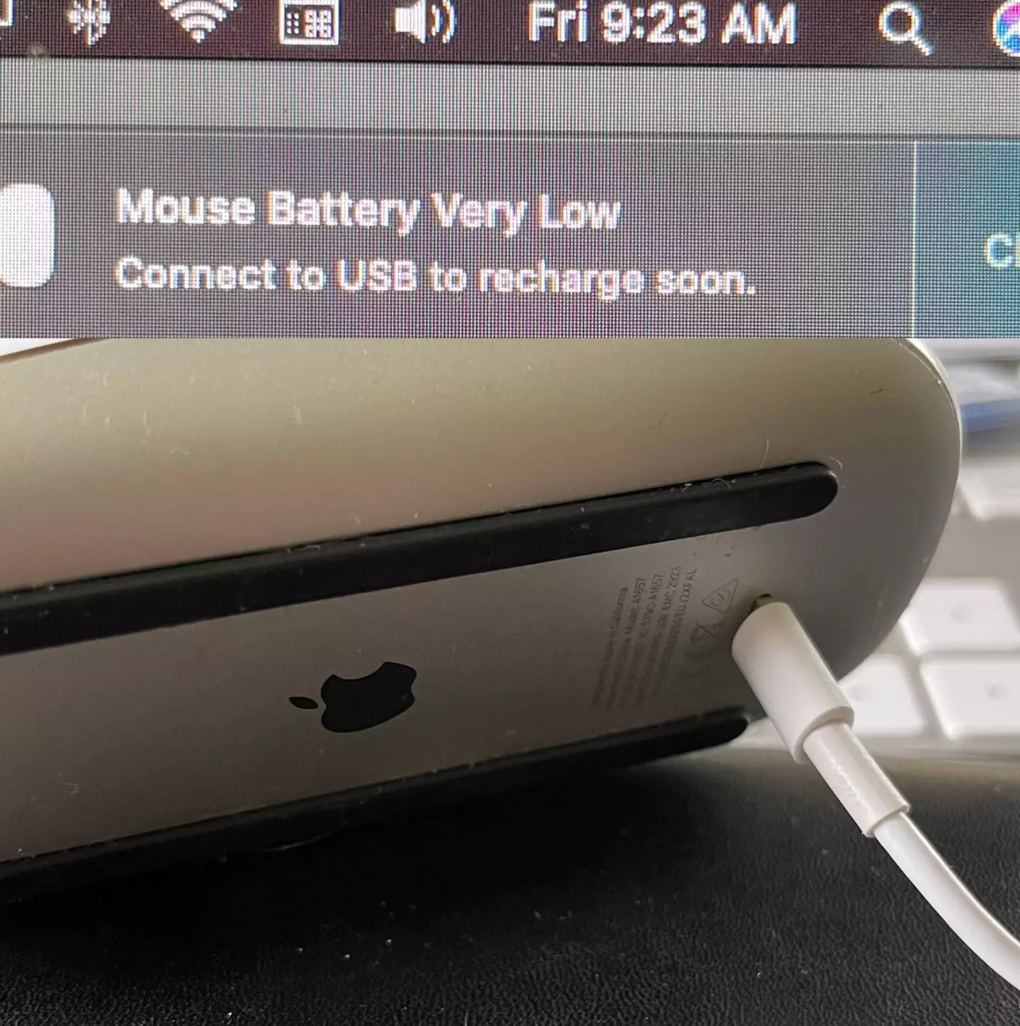 People are complaining about the design of Apple’s Magic Mouse.