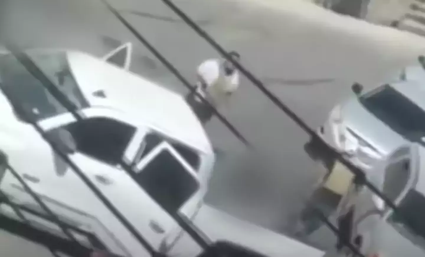 Scorpions Group, a faction of the Gulf Cartel, have now apologized for the broad daylight kidnapping.