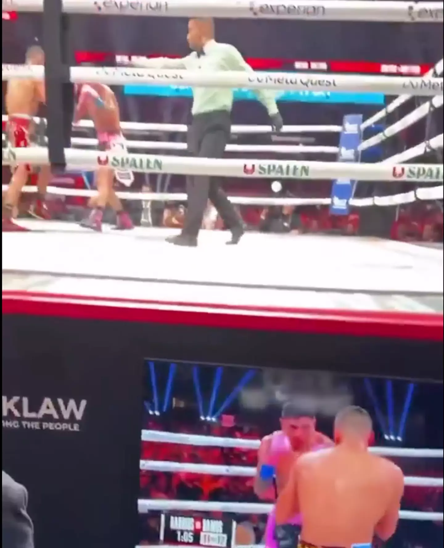The fan was spotted glancing at the screen rather than watching the fight in front of his eyes (Twitter/@KameronBennett)