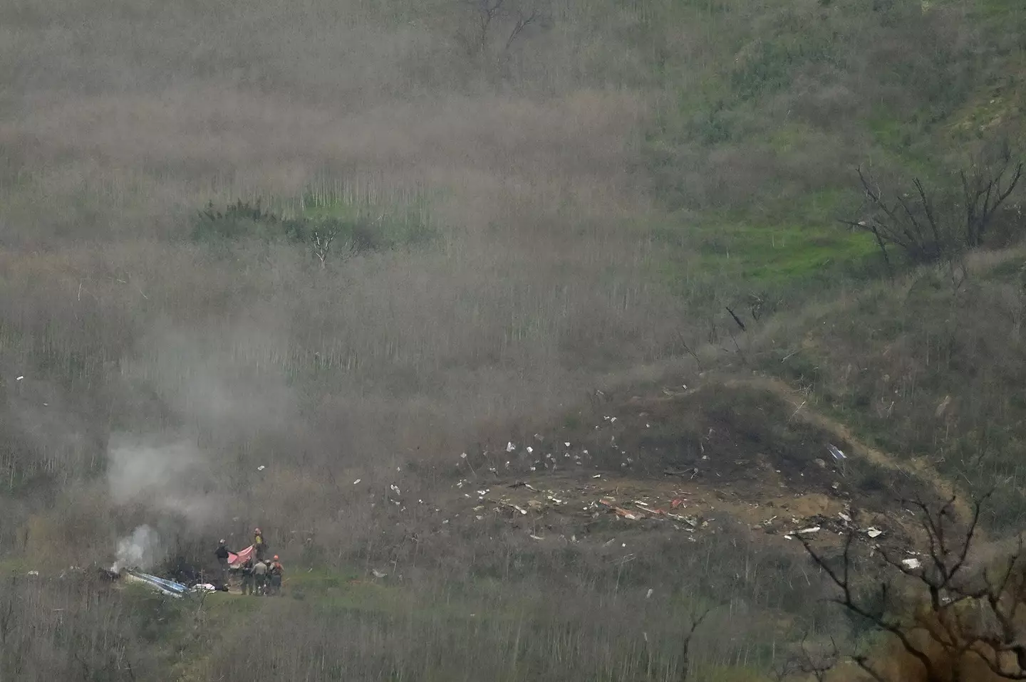 Images from the crash have been described as 'gratuitous'.