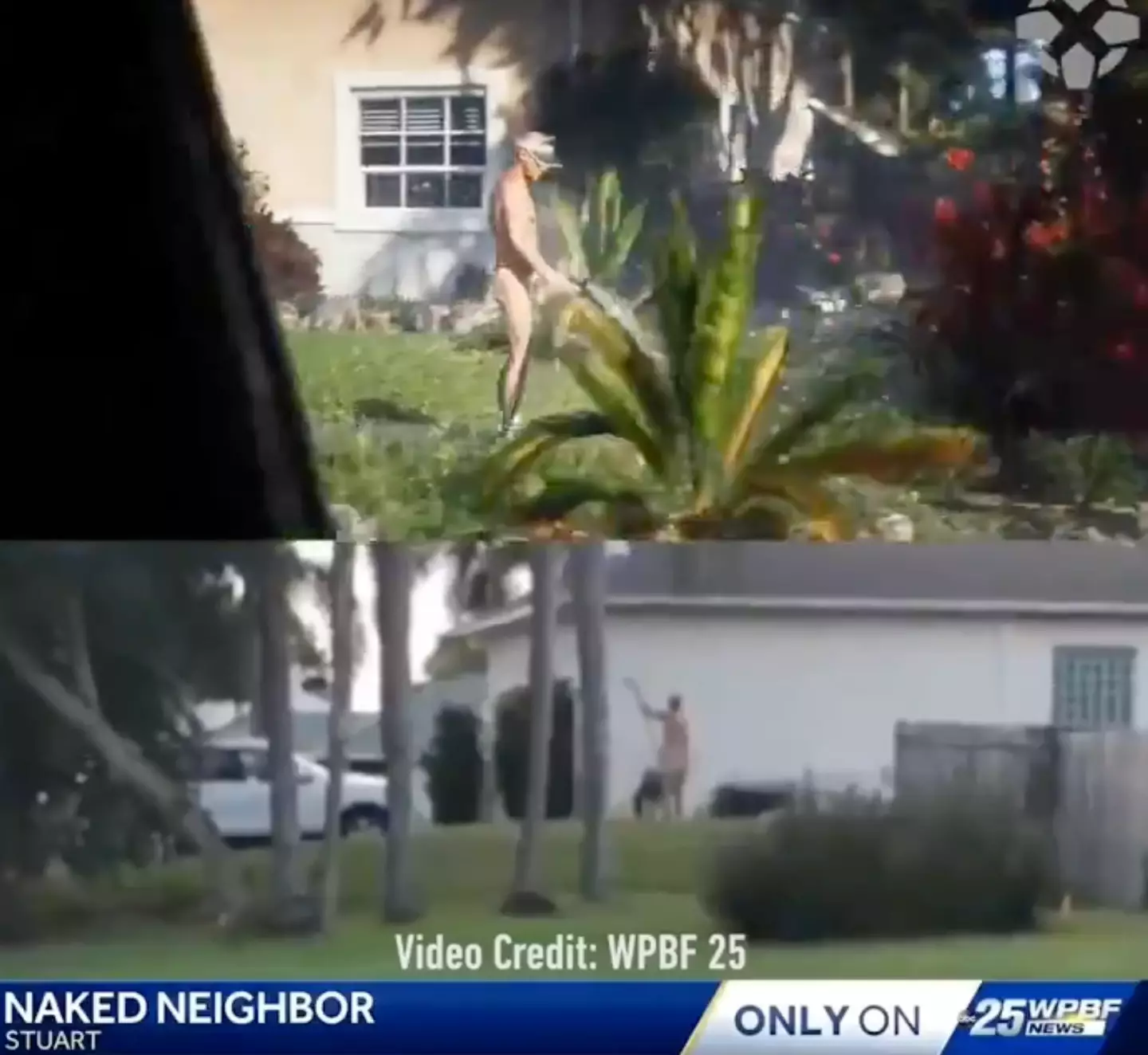 There's more than just one or two parallels.