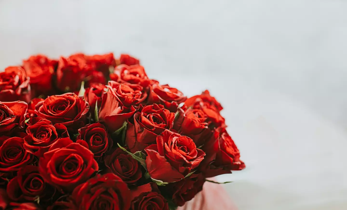 The radio station posed as a floral company offering a free dozen roses (Getty Stock Images/ Catherine Falls Commercial)