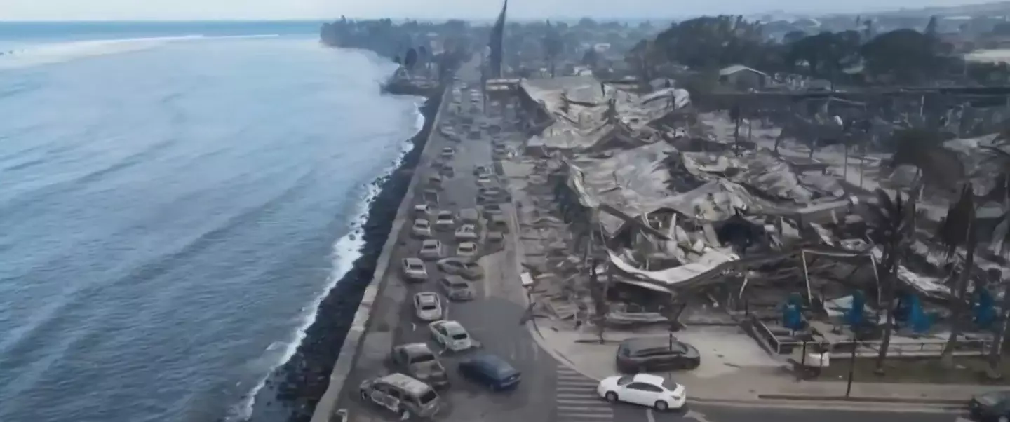 The fires have killed over 100 people so far.