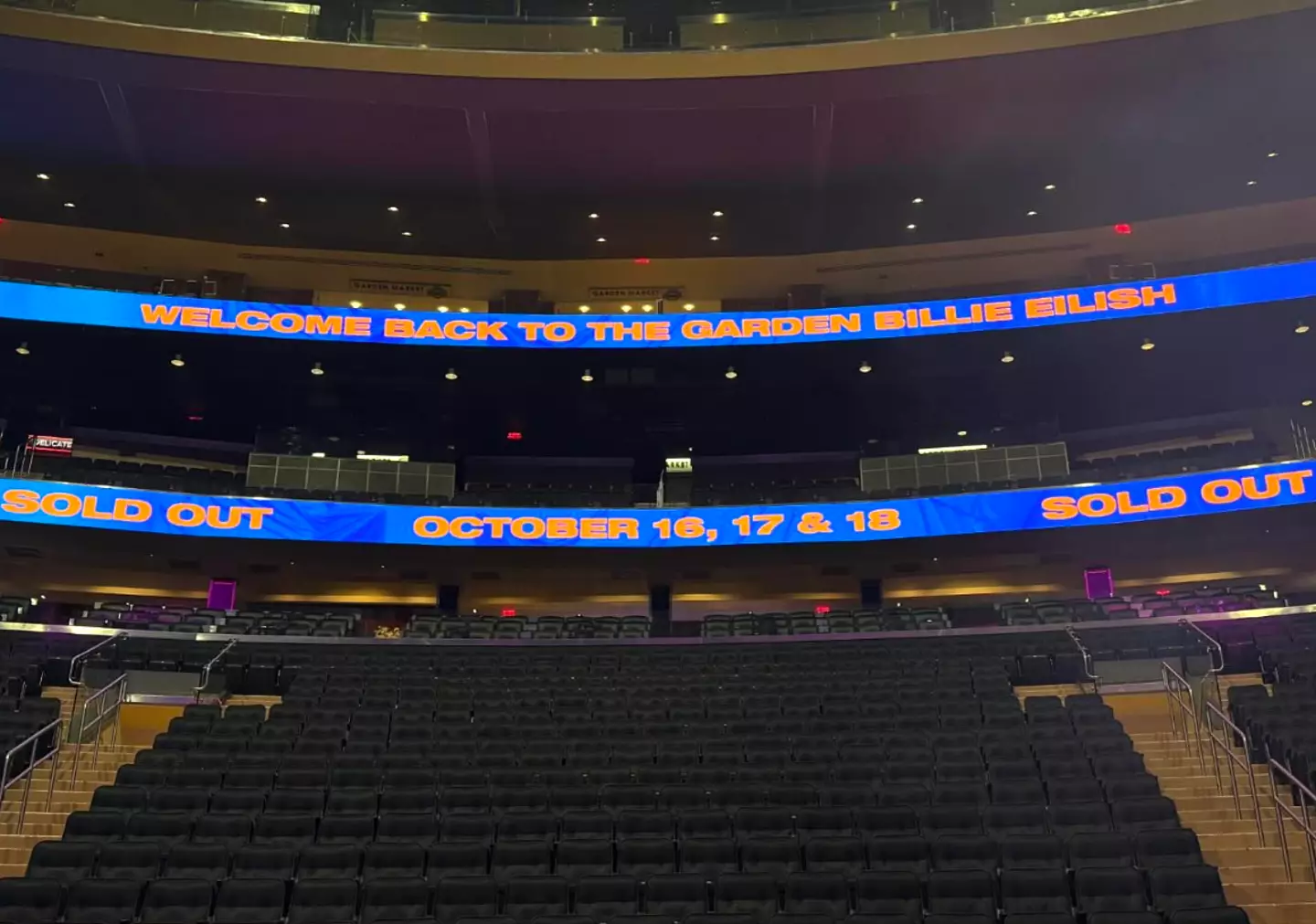 Billie Eilish sang for hundreds of thousands of people in New York (Instagram/@billieeilish)