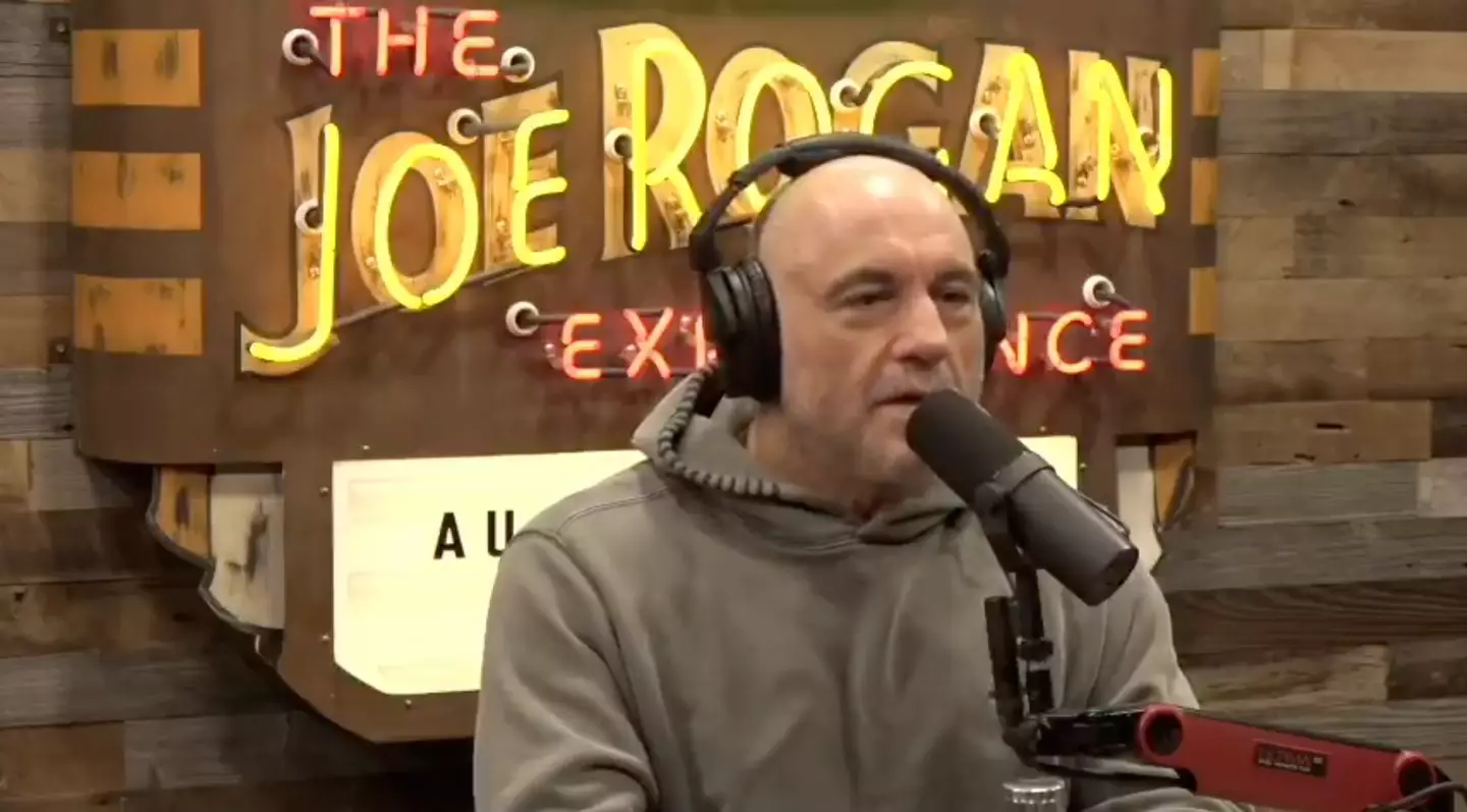 Joe Rogan has defended his billionaire friend Musk (YouTube/The Joe Rogan Experience)