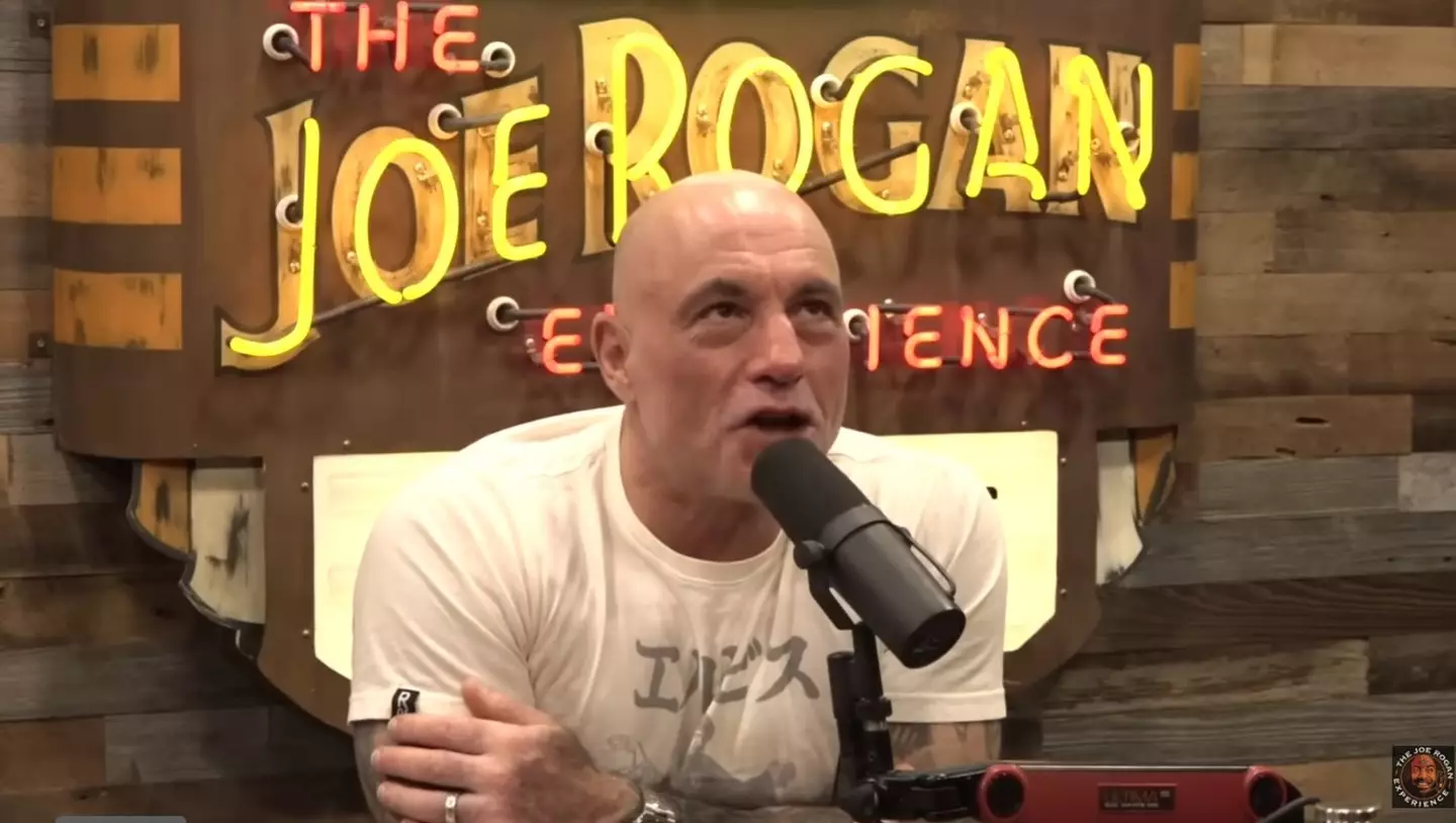 The podcast host quizzed Musk on his previous career aspirations (YouTube/The Joe Rogan Experience)