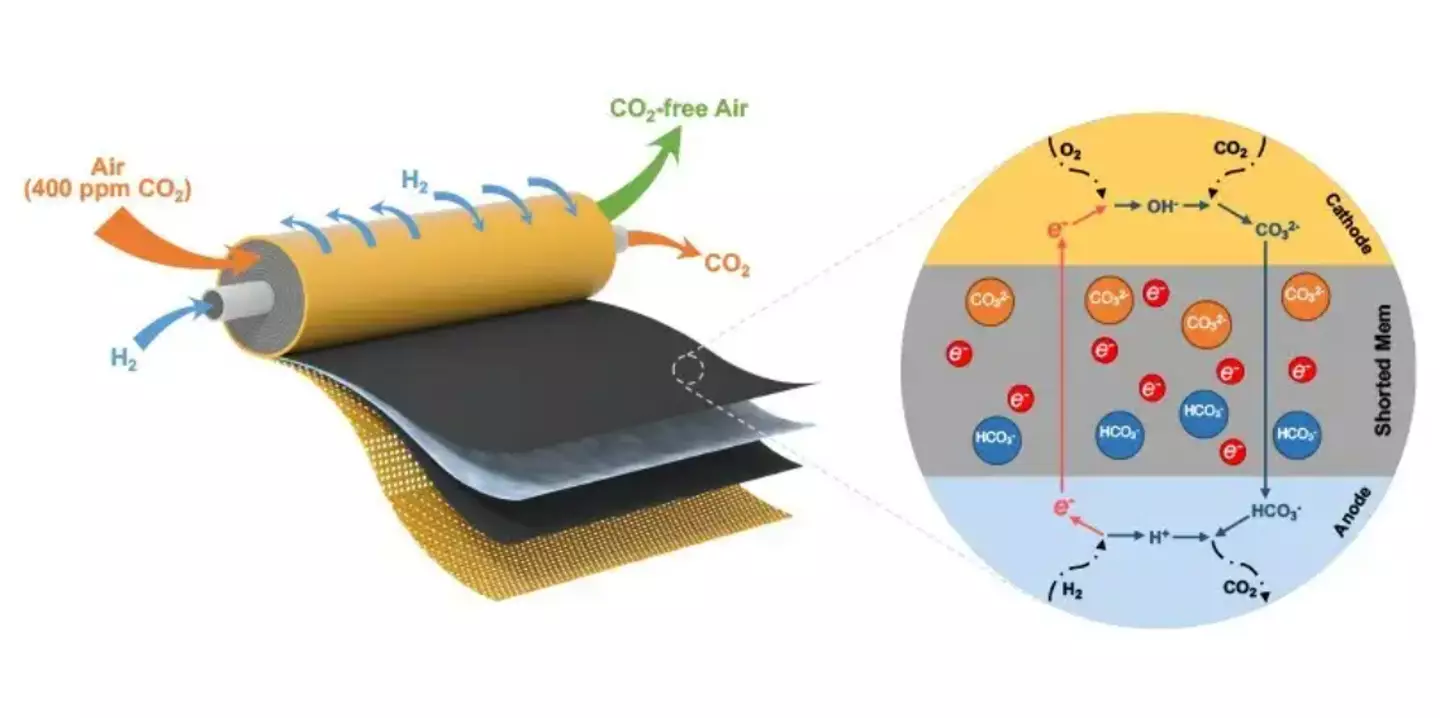 Diagrams showing CO2 filtration (University of Delaware)