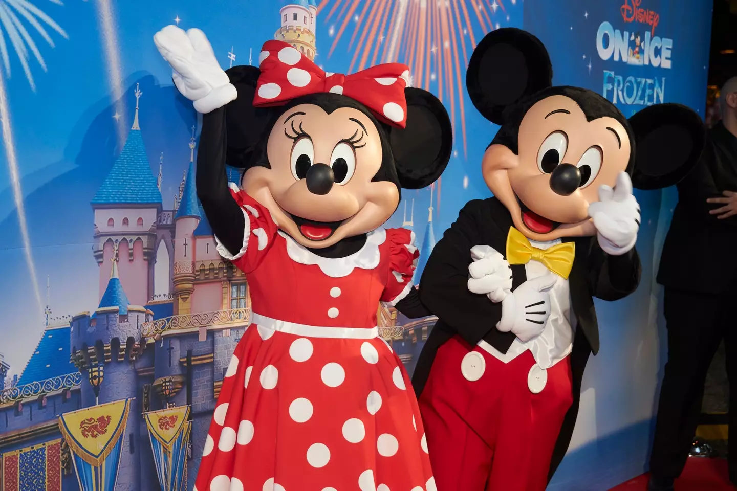 The family had gone to the Disney Resort together.