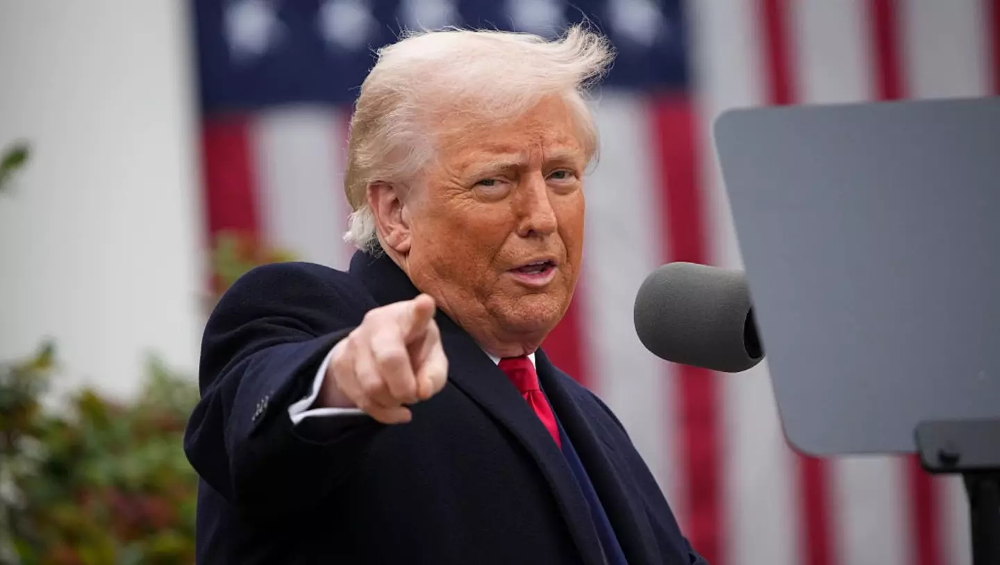 Many campaigners were protesting against Donald Trump's newly-introduced duties (Andrew Harnik/Getty Images)