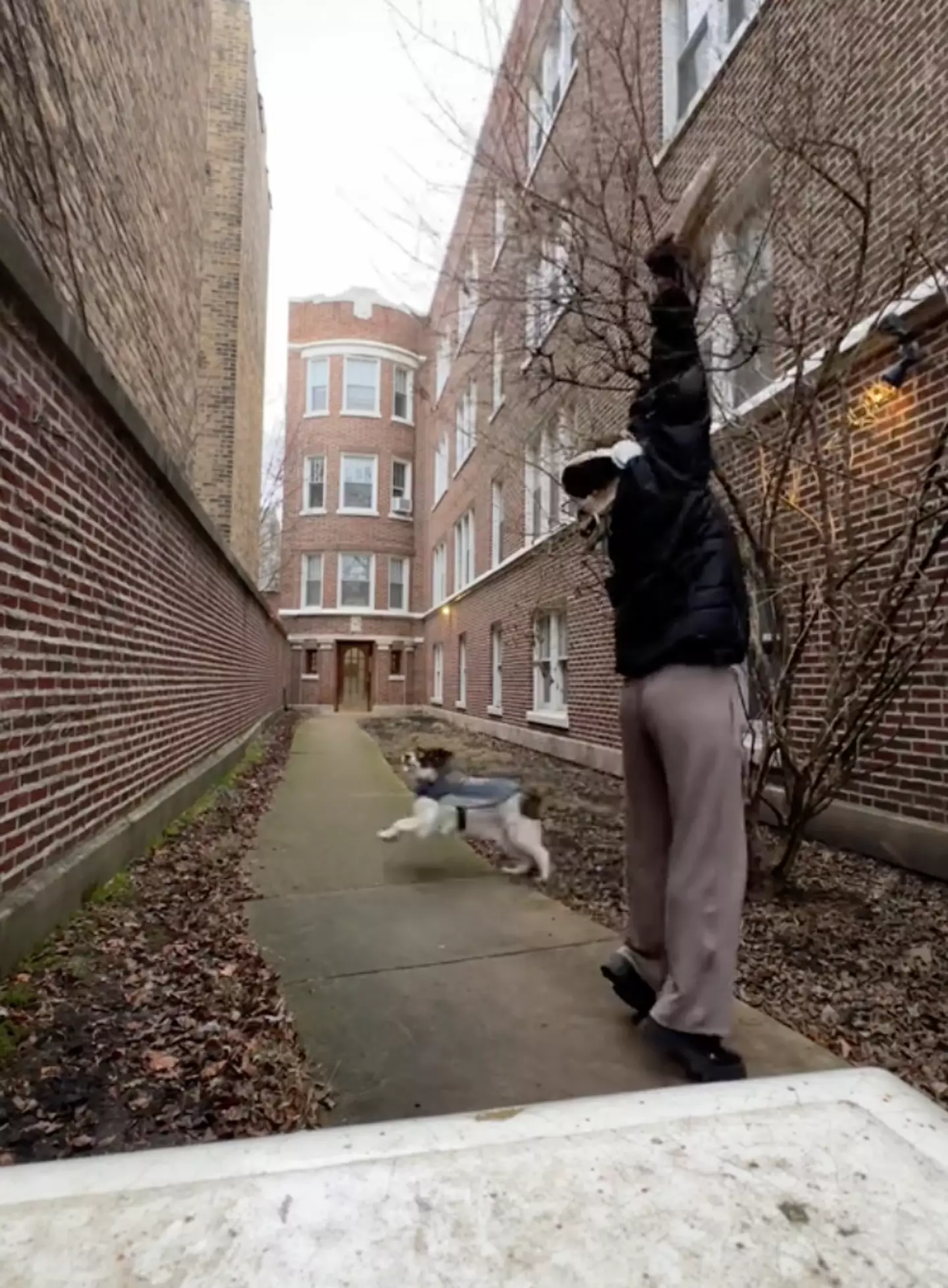 Luckily, Heather managed to retrieve the parcel.