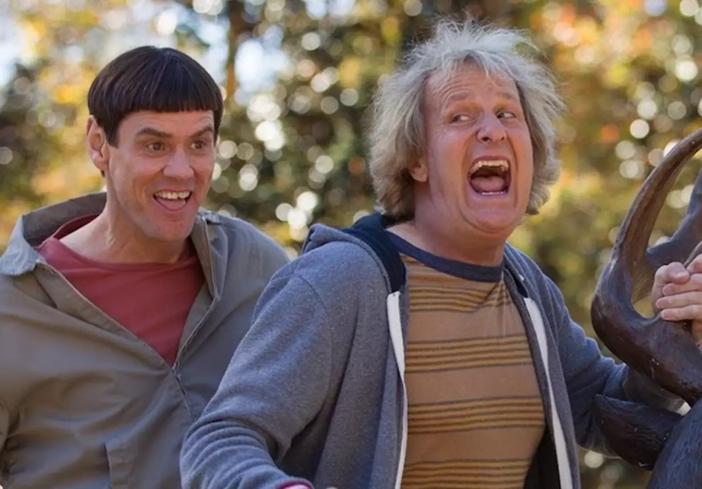 Dumb and Dumber To was not as successful as the first film.