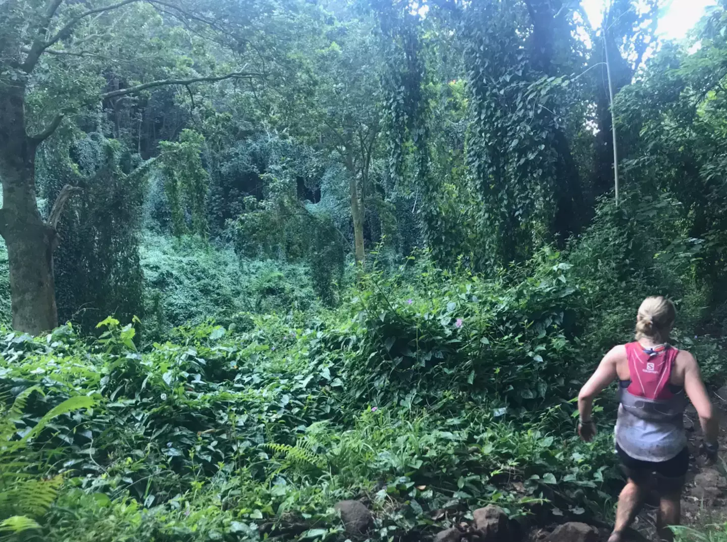 Kay Borleis had been taking part in the Hawaiian Ultra Running Team’s Trail 100-Mile Endurance Run.