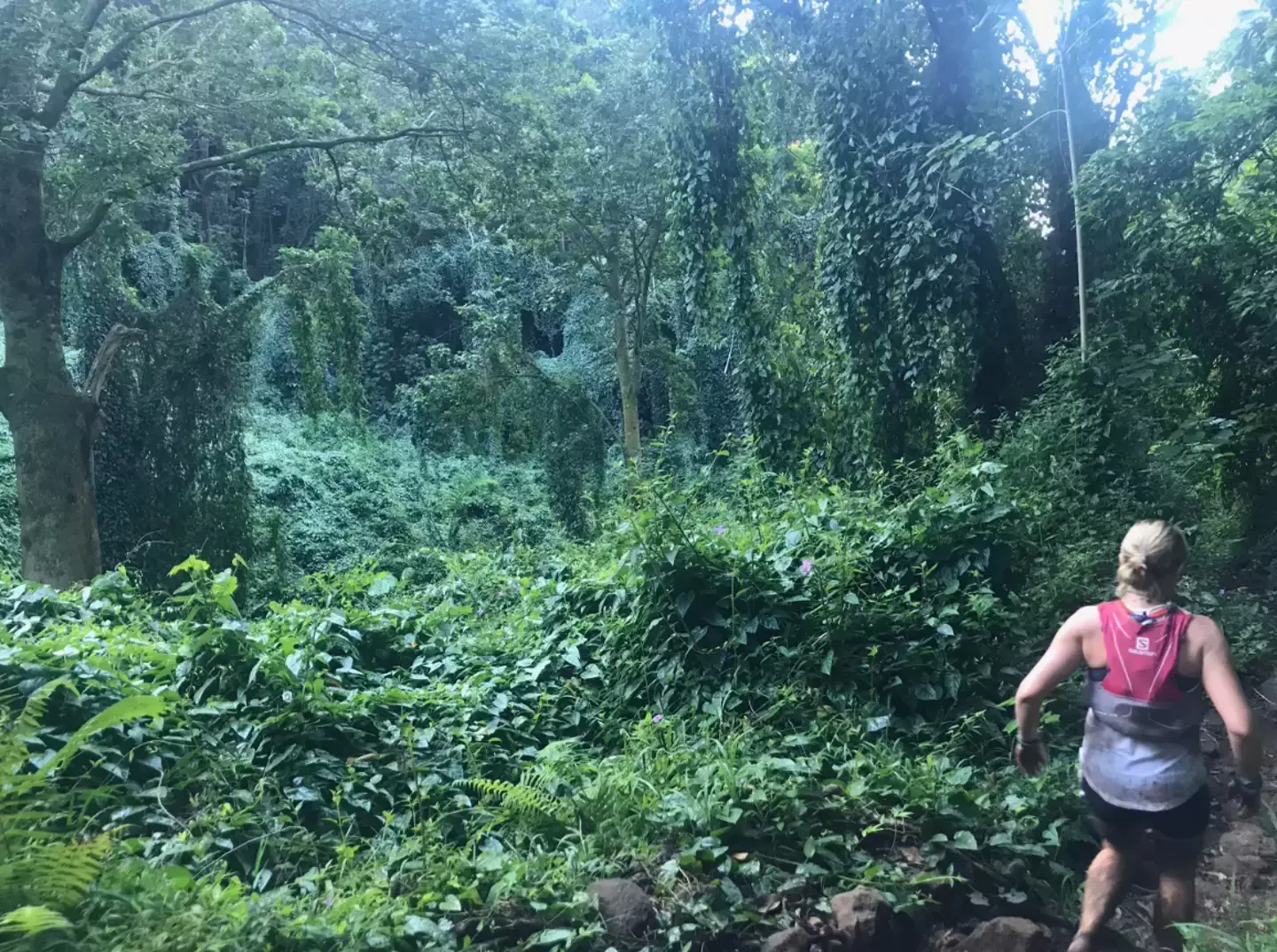 Kay Borleis had been taking part in the Hawaiian Ultra Running Team’s Trail 100-Mile Endurance Run. (Kay Borleis)