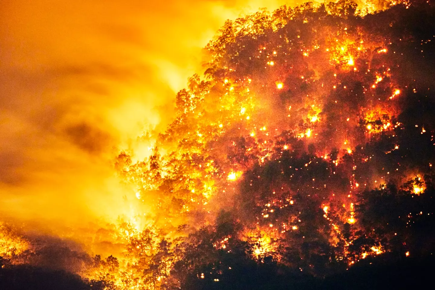 The newly discovered solar storm dates back 14,300 years.