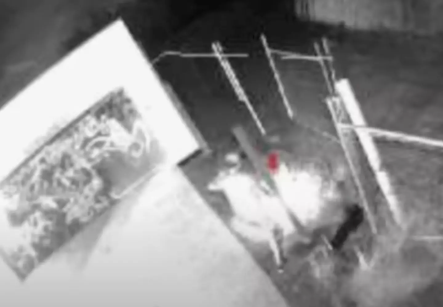 CCTV footage showed people entering the property.