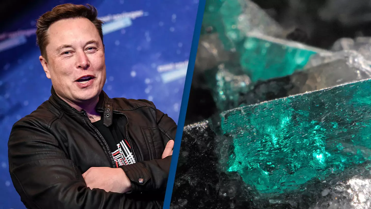 Elon Musk denies his family's emerald mine ever existed