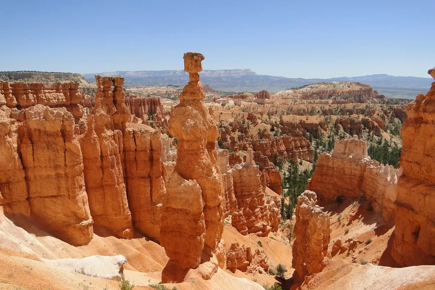 The incident took place at Bryce Canyon in Utah.