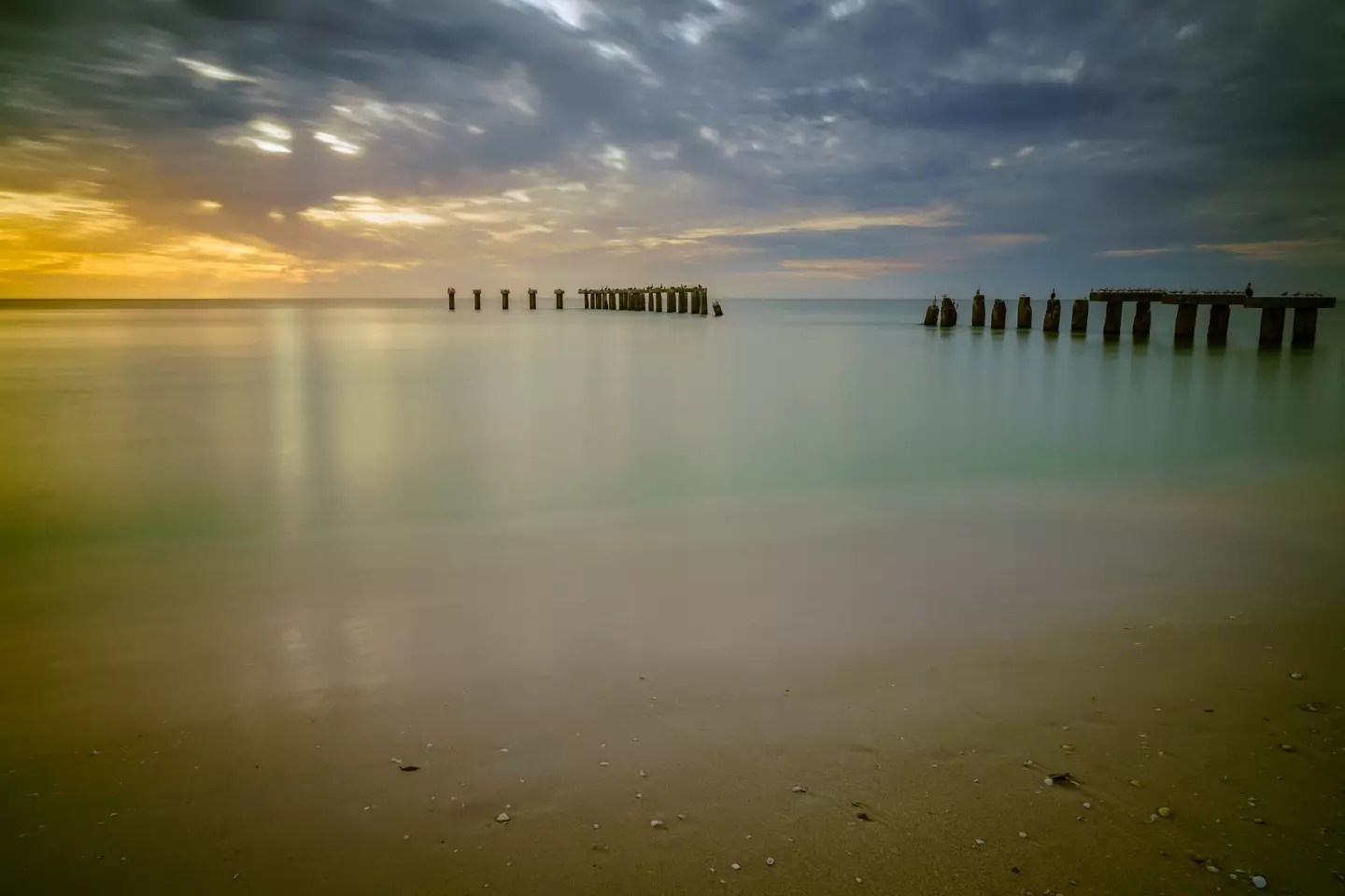 Der Haiangriff ereignete sich vor der Küste von Boca Grande, Florida (alexeys/Getty Stockfoto)