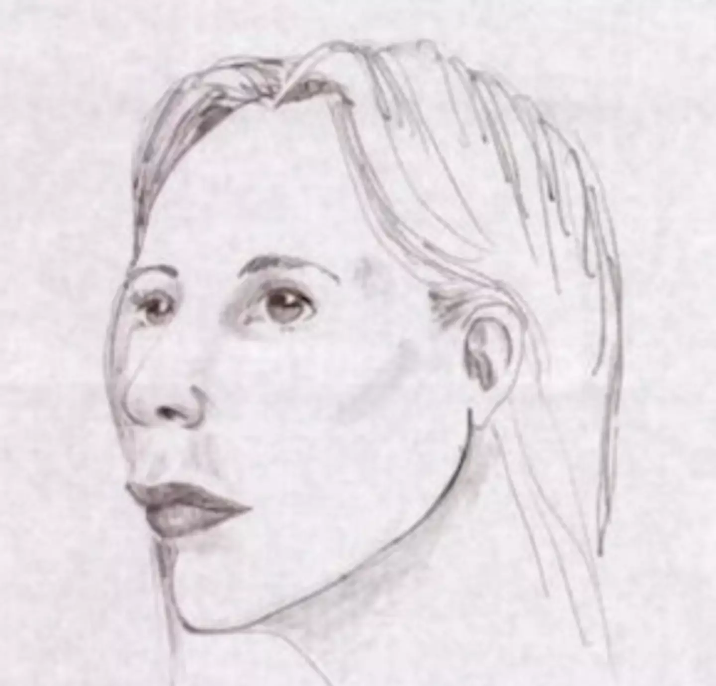 A sketch of the woman (Othram Inc.)