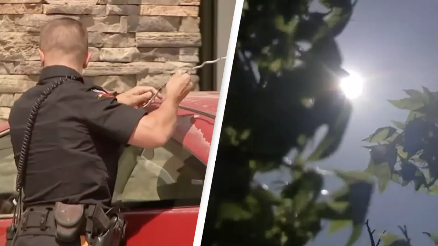 Police Rescue Three Young Children Locked Inside Car On Hot Day