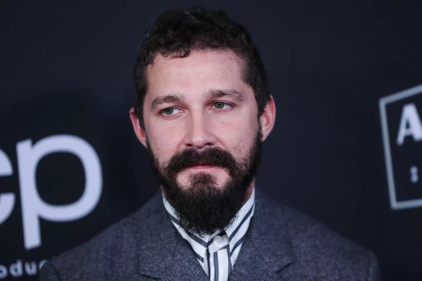 Shia LaBeouf has been accused of controlling behaviour and physical violence towards his ex-partner.