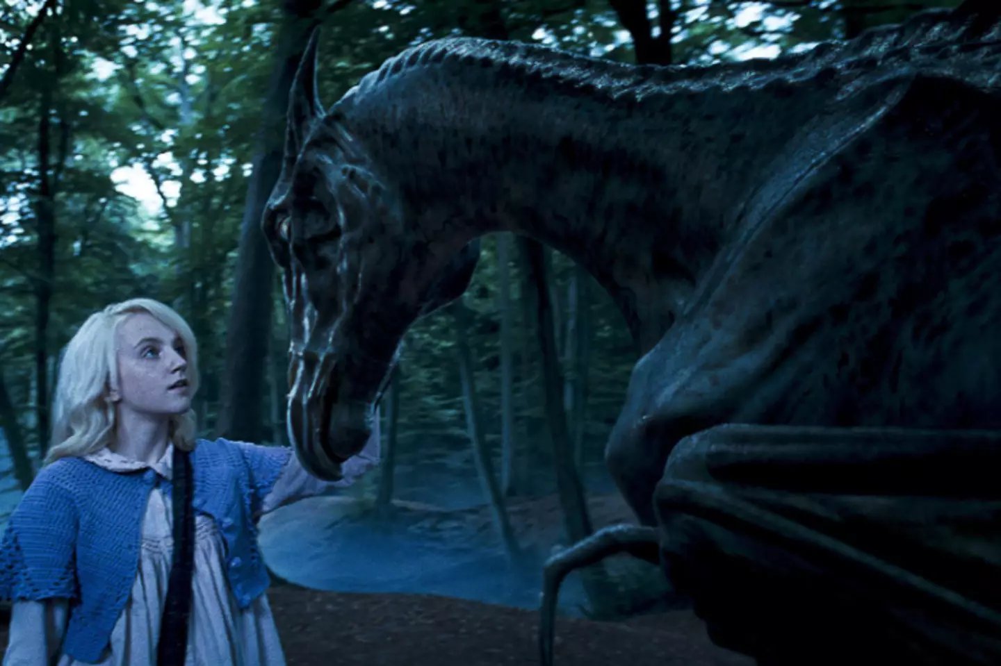 Luna Lovegood introduced Harry Potter to Thestrals in the franchise.