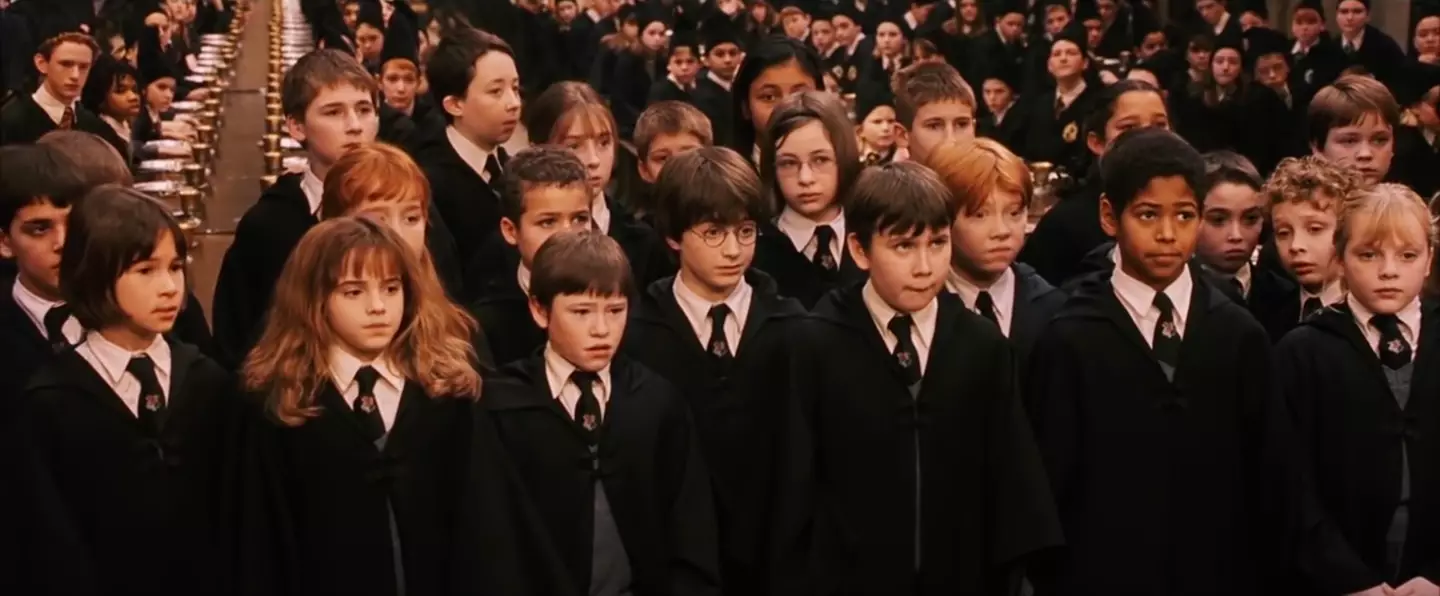 The TV series is expected to tackle each book per season (Warner Bros.)