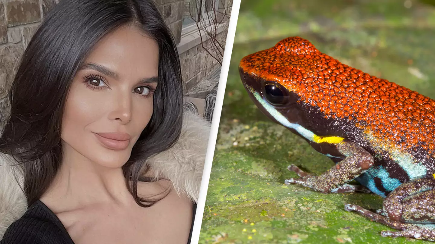 Influencer Says That Toad Venom Turned Her Life Around