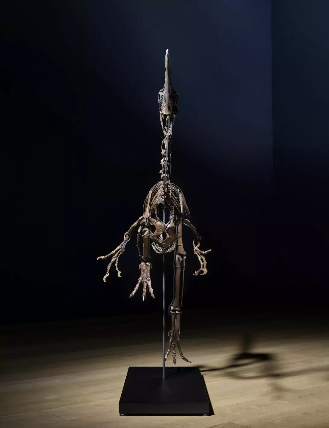 Spike could sell for over $6,500,000 (Christie's)