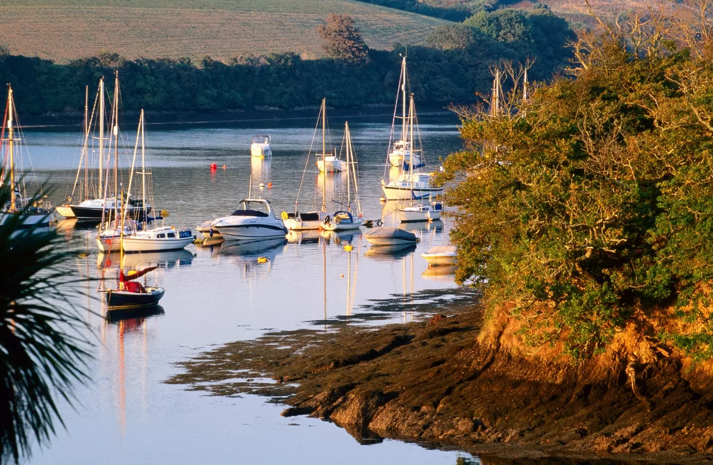 Vibrio vulnificus is found in salt water or brackish water (Getty Stock Photo)