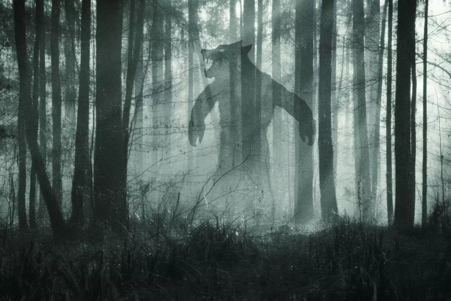 There are several theories for what the creature is.