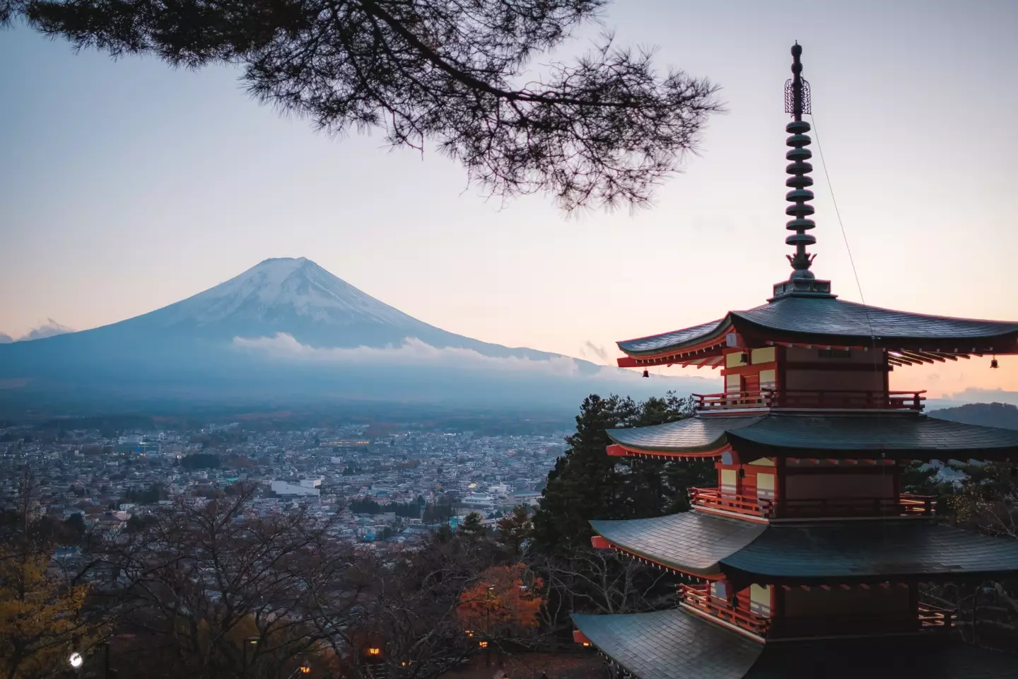 Ryo Tatsuki is a former manga artist from Japan (Getty Stock Photo)
