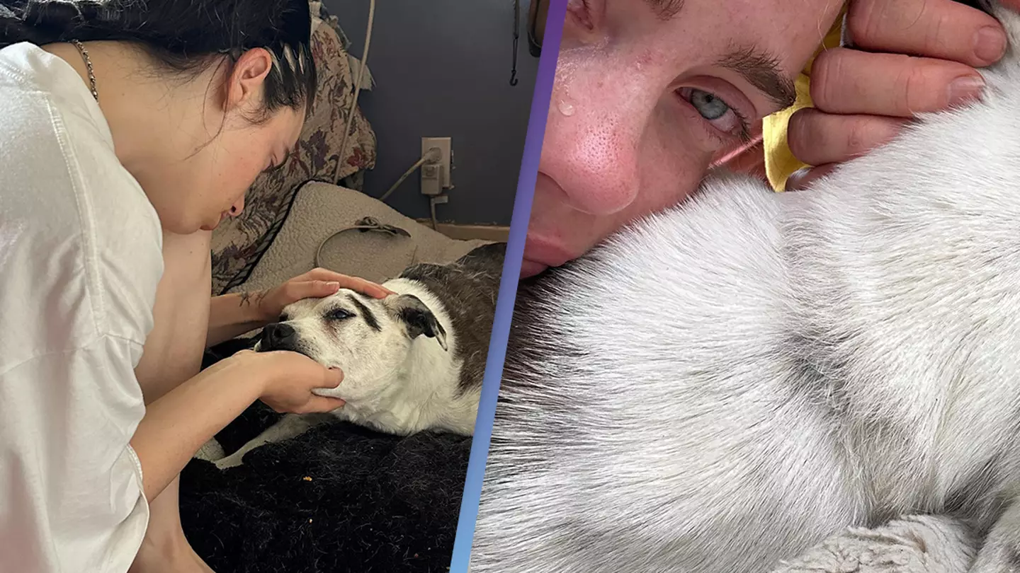 Billie Eilish announces her 15-year-old family dog Pepper has died
