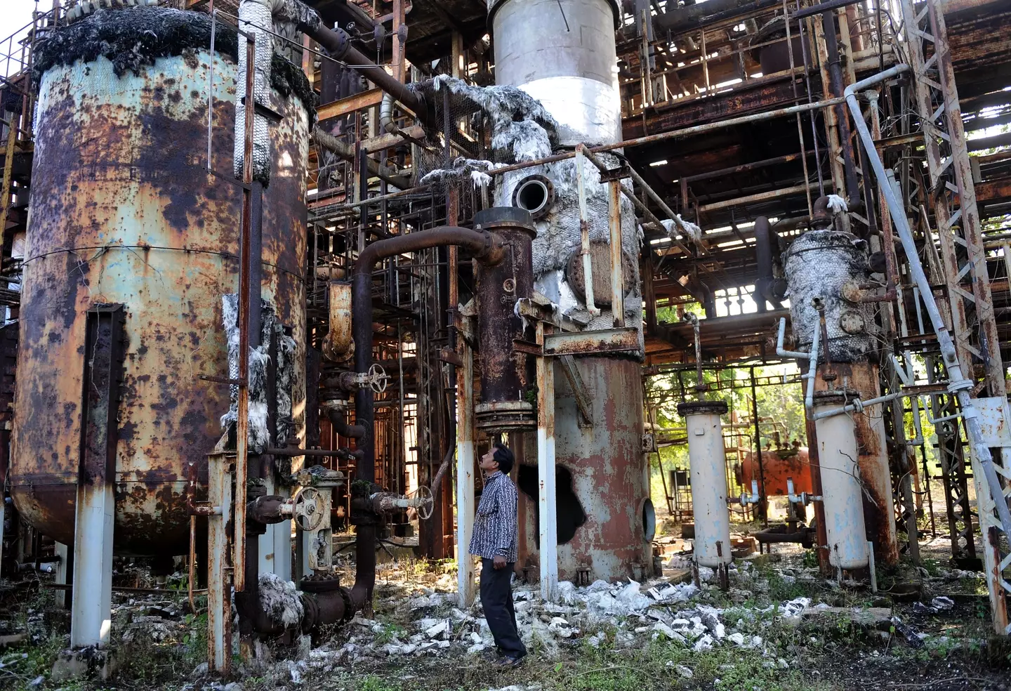 The remains of the plant. RAVEENDRAN/AFP via Getty Images