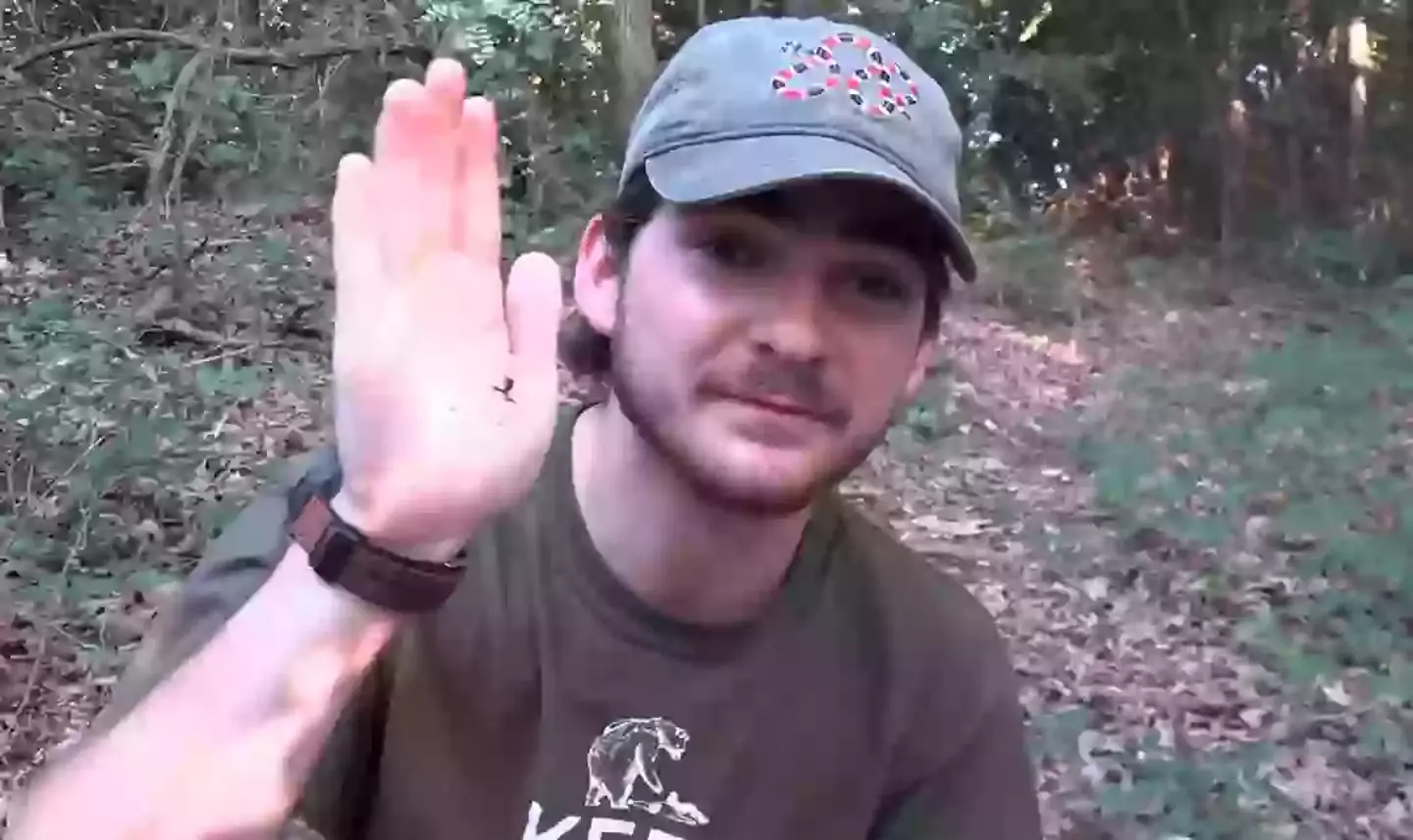 Happier times before the venom caused excruciating pain (Jacks World of Wildlife/YouTube)