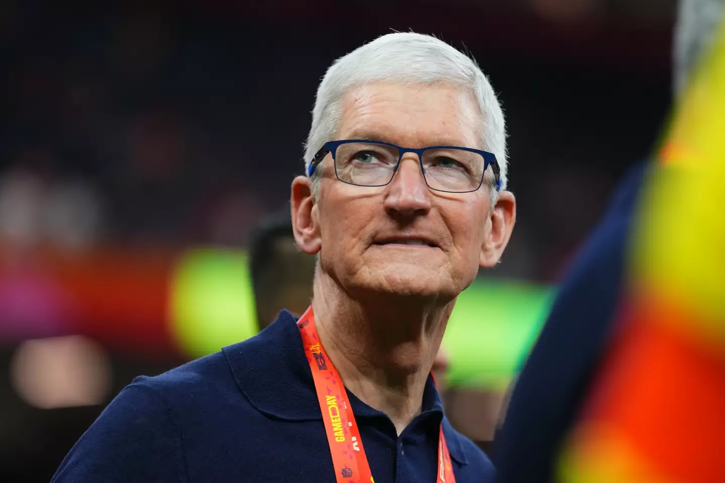 Apple CEO Tim Cook (Cooper Neill/Getty Images)
