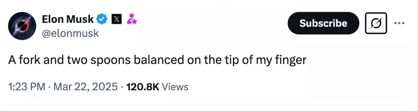 Musk explained his antics in a proud post on Twitter (X/@elonmusk)