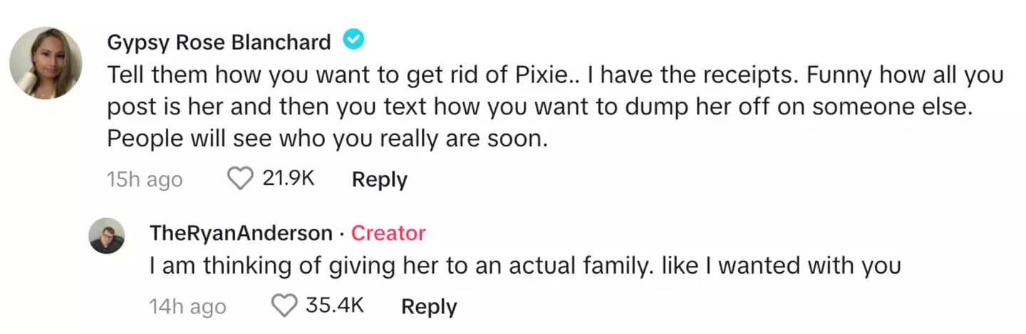 Gypsy commented on the video (TikTok/@theryananderson)