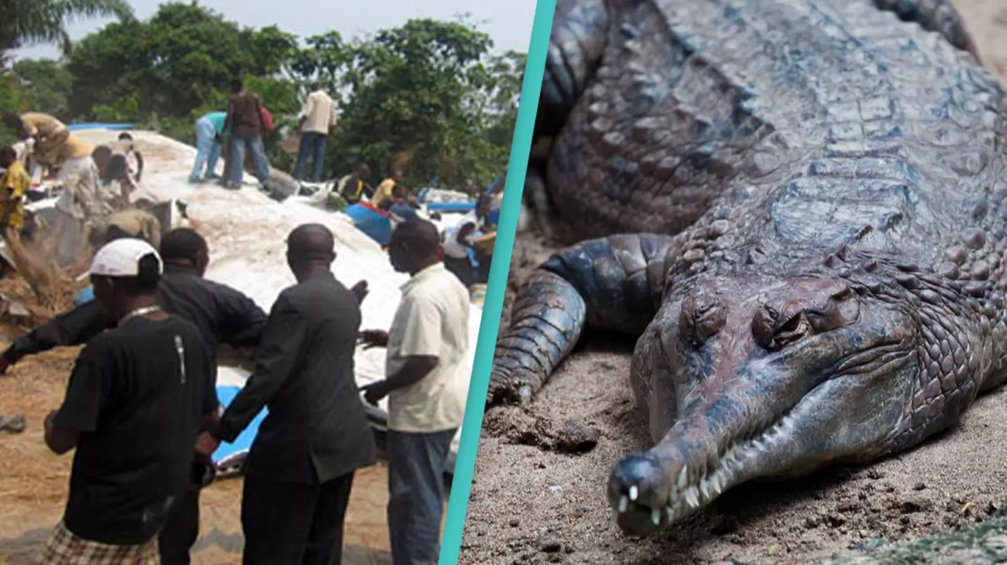 Radio Okapi/zony redana/Alamy