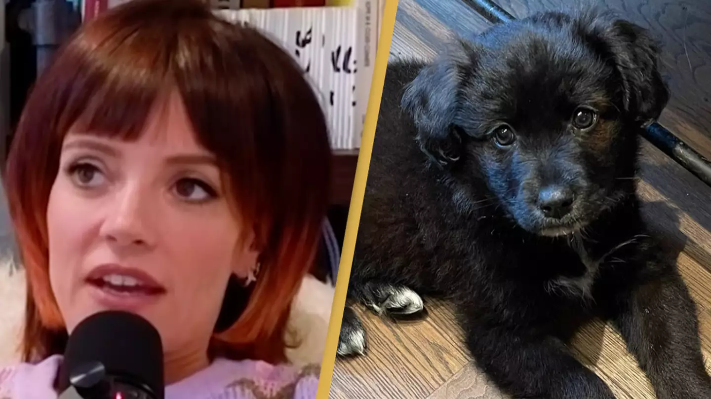 Lily Allen under fire for giving dog back to shelter after it ate one small thing