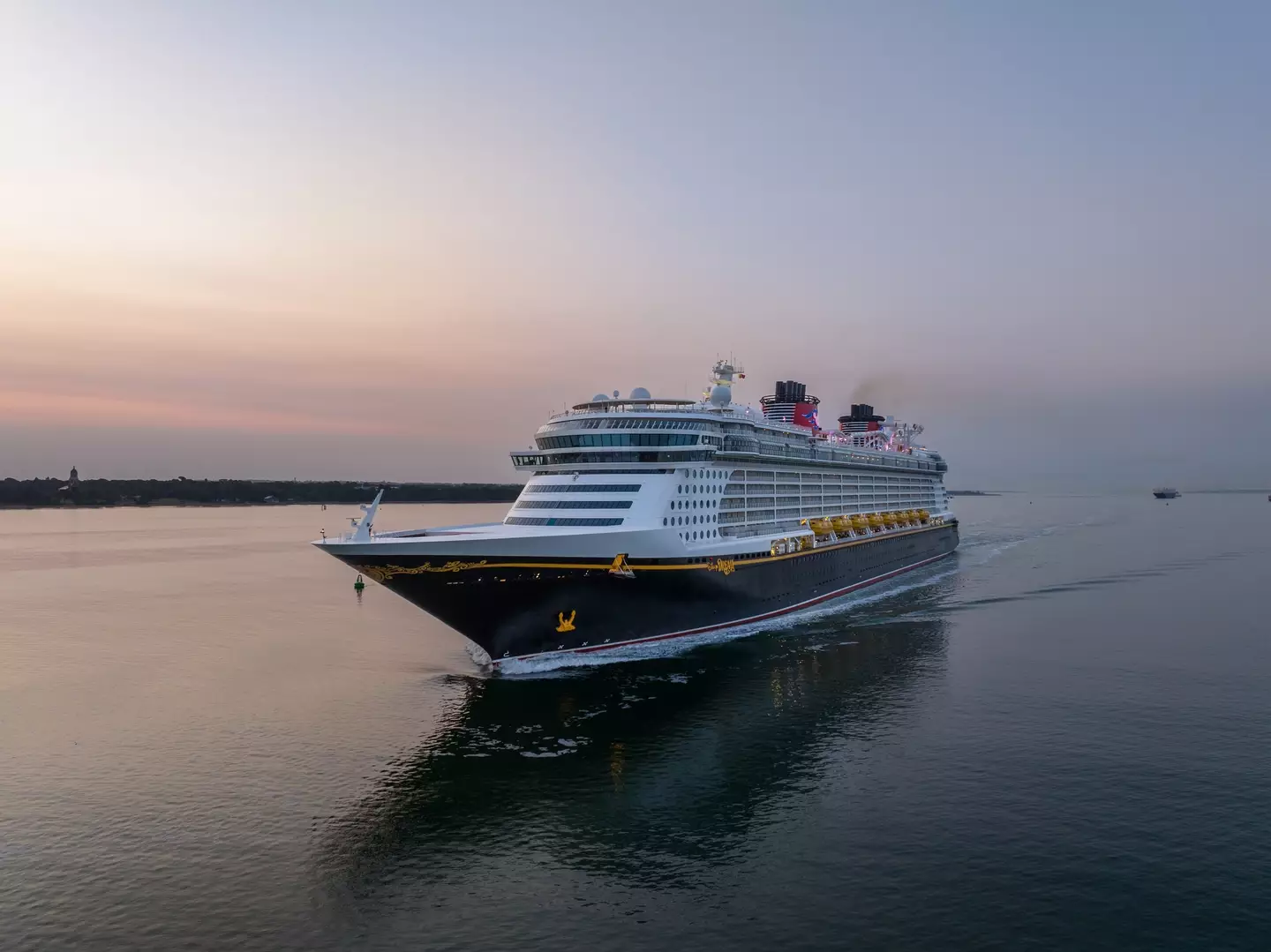 Disney has also spoken out on the incident and how its crew dealt with it (Wayleebird/Getty stock photo)