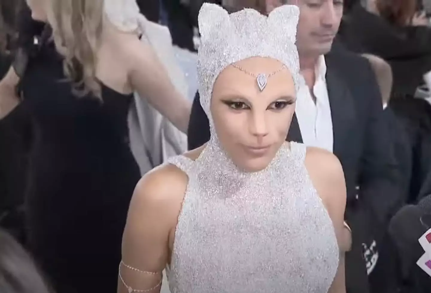 Doja dressed in her Karl Lagerfeld-inspired cat dress at the Met Gala.