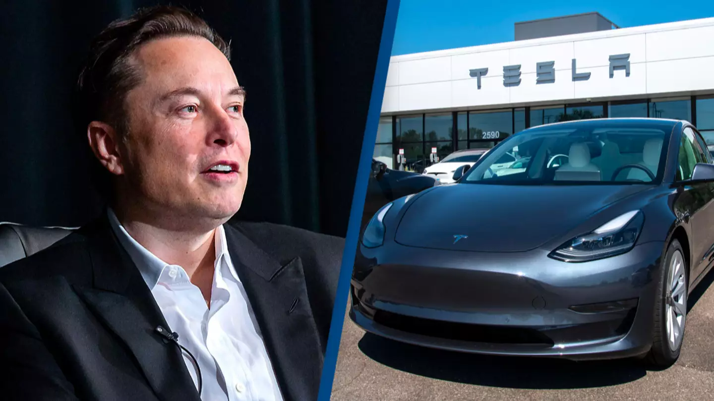 Elon Musk pledges to fix 'silly' Tesla charge after customer complaint